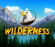 Wilderness